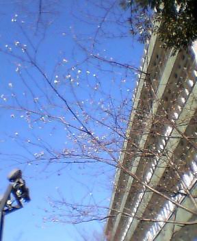 080207_01.jpg