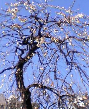 080228_002.jpg