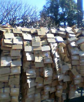 080228_003.jpg
