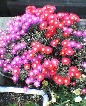 080530_01.jpg