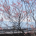 100226_02.jpg