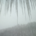 110202_02.jpg