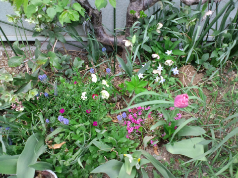 110419_01.jpg