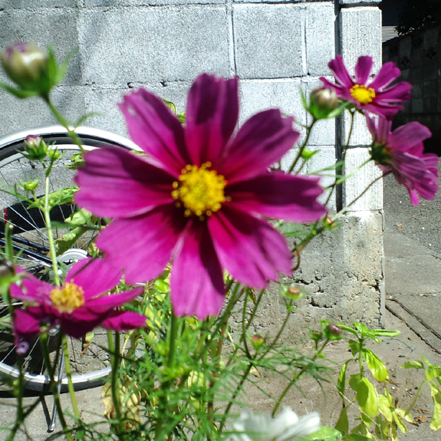 111006_01.jpg