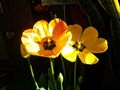 120115_01.jpg
