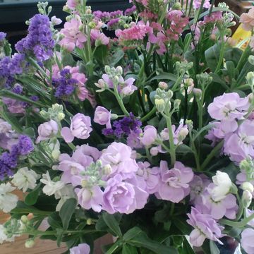 120215_01.jpg