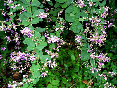 090924_02.jpg