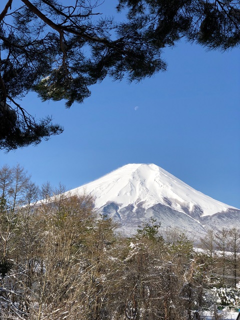 富士山