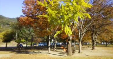 紅葉の風景