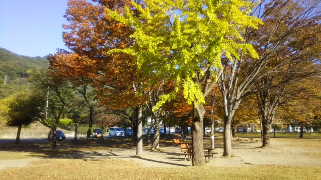 紅葉の風景