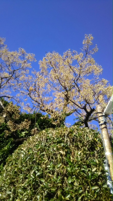 青空