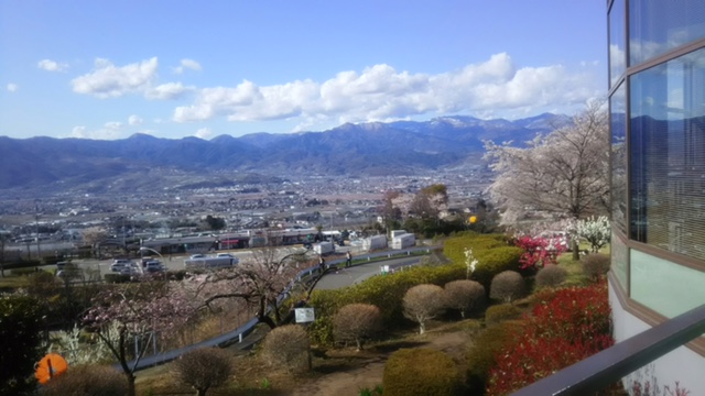 釈迦堂からの景色