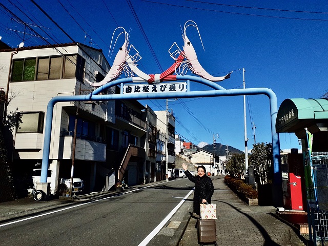 由比の桜えび通り