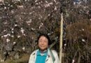 内藤いづみ　不老園にて