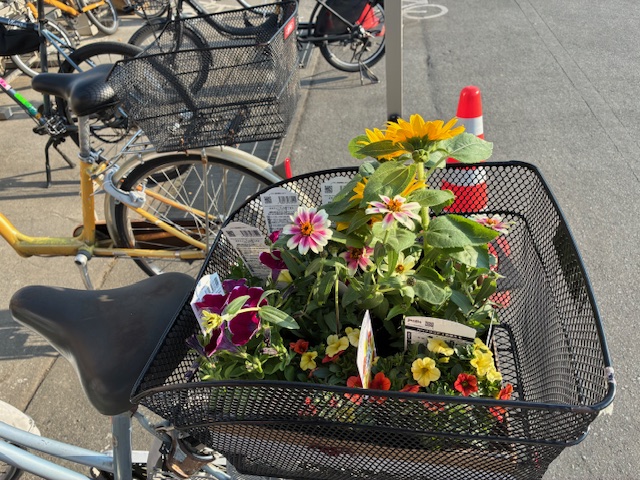 花の写真