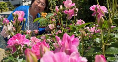 薔薇園