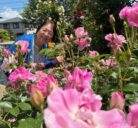 薔薇園