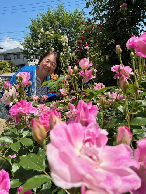薔薇園