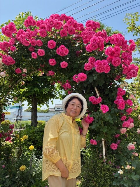 薔薇のアーチ