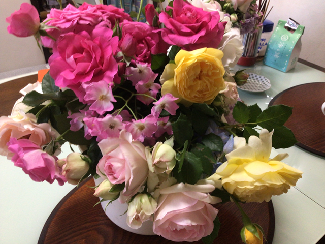 薔薇の花