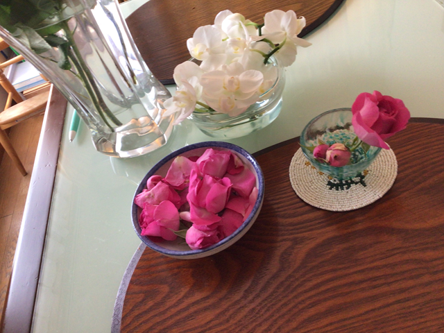 薔薇の花びら