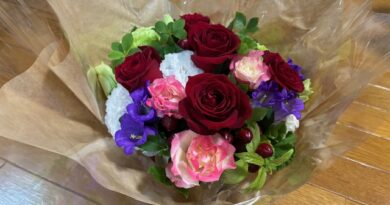 薔薇の花