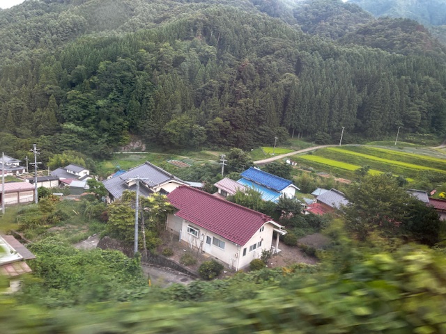 稲