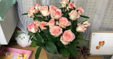 バラの花