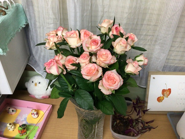 バラの花