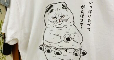 猫のTシャツ