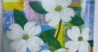 向上3月号の表紙