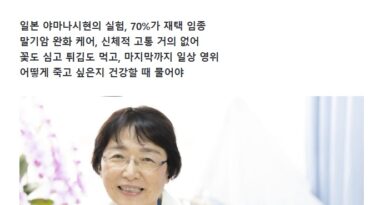 朝鮮日報WEB版