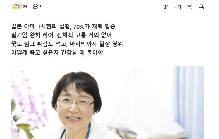 朝鮮日報WEB版