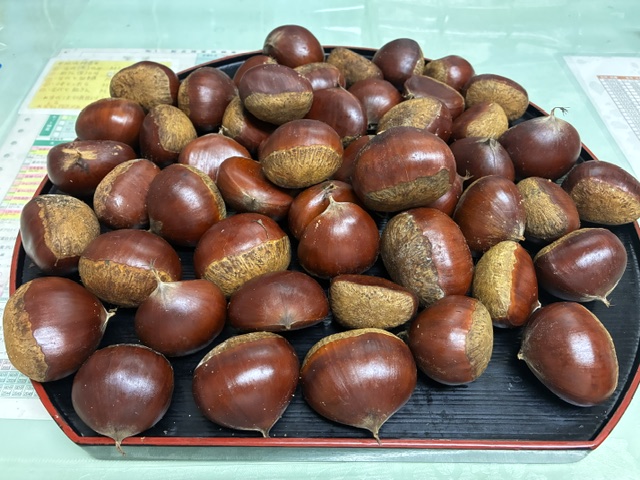 栗